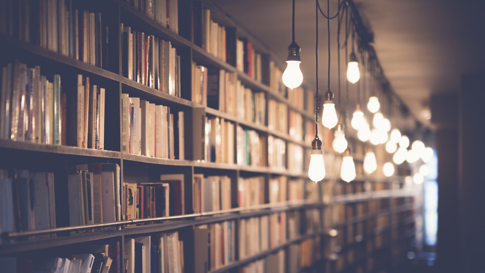 Bookshelves filled with books in a library reading area